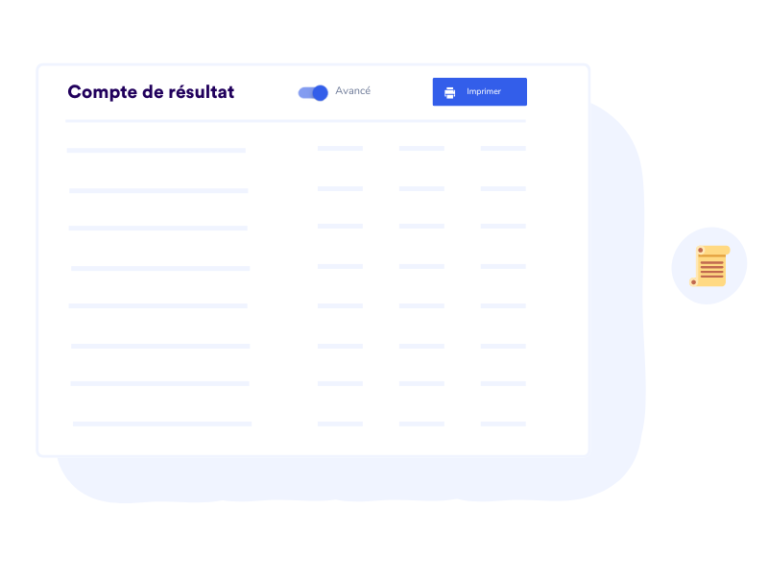 Gedetailleerde resultatenrekening FR