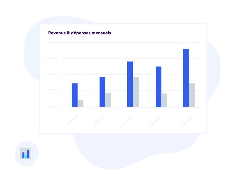 Inkomsten uitgaven per maand FR