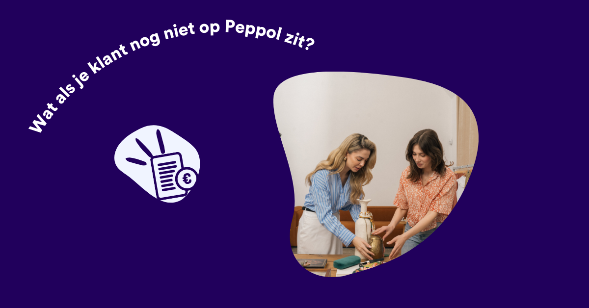 klant nog niet op peppol