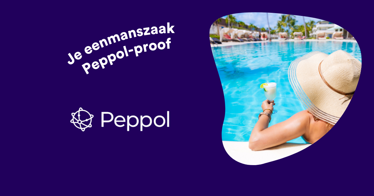 In 5 minuten Peppol-proof dankzij Dexxter