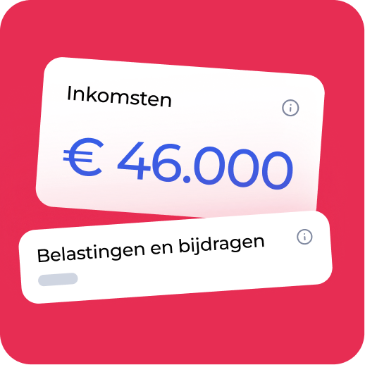 Vertical pages feature net income overview NL