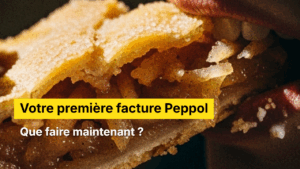 facture peppol