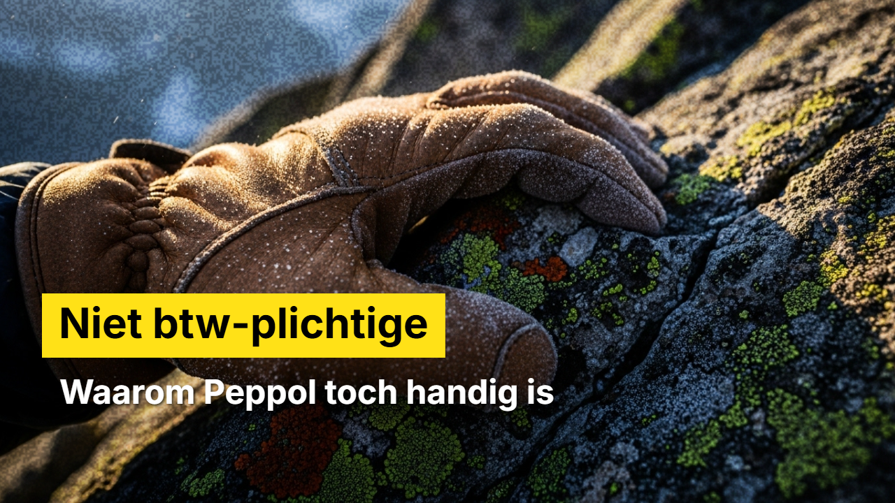 niet btw-plichtige en peppol