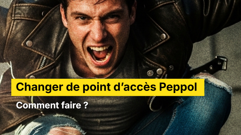 Changer point access peppol