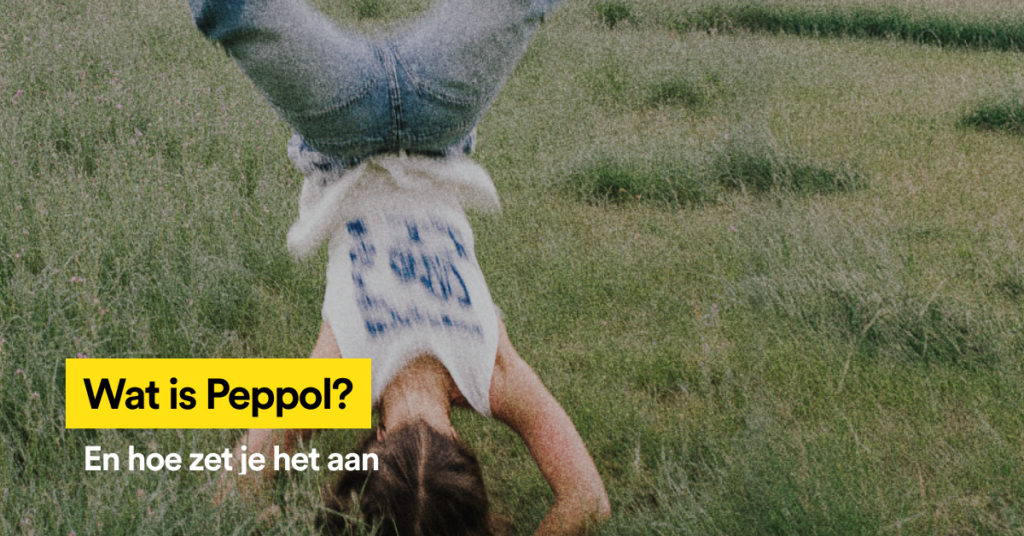 Featured image: wat is Peppol en hoe installeer je het