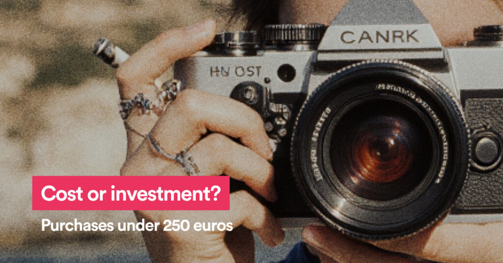 Cost or investment? Purchases under 250 euros